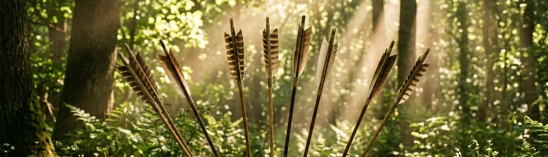 Master the Art of Archery